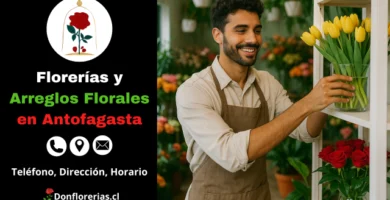 Florería con servicio de envío a domicilio en Antofagasta. Un florista sonriente acomoda tulipanes amarillos en una repisa de tienda, rodeado de flores coloridas como rosas rojas. Local especializado en arreglos florales y atención personalizada. Floristería en Antofagasta con despacho floral a domicilio.