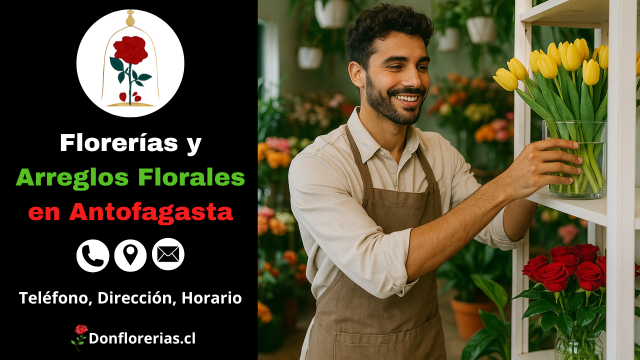 Florería con servicio de envío a domicilio en Antofagasta. Un florista sonriente acomoda tulipanes amarillos en una repisa de tienda, rodeado de flores coloridas como rosas rojas. Local especializado en arreglos florales y atención personalizada. Floristería en Antofagasta con despacho floral a domicilio.