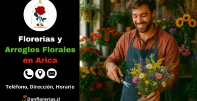 Floristería con despacho a domicilio en Arica. Un florista sonriente prepara un colorido ramo de flores silvestres en una tienda decorada con girasoles, rosas y plantas de interior. Tienda de arreglos florales con servicio de envío a domicilio en Arica. Especialistas en flores frescas y atención personalizada para todo tipo de ocasiones.