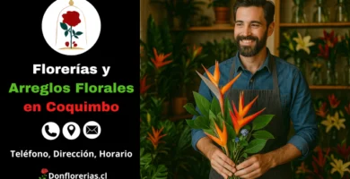 Florería en Coquimbo con servicio de despacho a domicilio. Un florista sonriente sostiene un exótico ramo de aves del paraíso en una tienda decorada con plantas verdes y arreglos florales tropicales. Floristería especializada en arreglos únicos, atención personalizada y entrega a domicilio en la ciudad de Coquimbo.