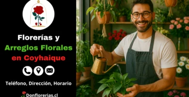 Florería en Coyhaique con despacho a domicilio. Un florista sonriente riega una planta en maceta dentro de una tienda llena de flores y plantas verdes. Floristería en Coyhaique con gran variedad de arreglos florales, atención personalizada y servicio de envío a domicilio. Ideal para decorar espacios o regalar naturaleza viva.