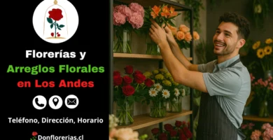 Florería en Los Andes con despacho a domicilio. Un florista sonriente organiza flores en una repisa de madera, rodeado de rosas, margaritas y claveles en una tienda llena de arreglos florales frescos. Floristería en Los Andes con atención personalizada, flores naturales y servicio de entrega a domicilio para toda la comuna.