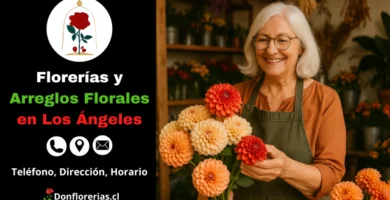 Florería en Los Ángeles con despacho a domicilio. Una florista mayor, sonriente, sostiene un ramo de dalias en tonos anaranjados y rosados dentro de una tienda decorada con flores frescas, macetas y plantas secas colgantes. Floristería en Los Ángeles con atención personalizada, arreglos florales naturales y servicio de entrega a domicilio para toda ocasión.