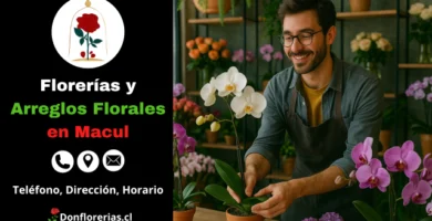 Florería en Macul con servicio de despacho a domicilio. Un florista sonriente acomoda orquídeas blancas y lilas en macetas dentro de una tienda decorada con flores exóticas y plantas ornamentales. Floristería en Macul con atención personalizada, gran variedad de arreglos florales y envío a domicilio para toda la comuna.