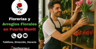 Florería en Puerto Montt con despacho a domicilio. Un florista joven sonríe mientras acomoda tulipanes rosados en un florero de vidrio en una tienda decorada con flores frescas como rosas, margaritas y girasoles. Floristería en Puerto Montt con atención personalizada, venta de arreglos florales y servicio de entrega a domicilio.