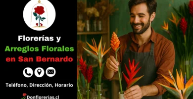 Florería en San Bernardo con despacho a domicilio. Un florista sonriente organiza un arreglo exótico con flores tropicales anaranjadas y rojas sobre una mesa de madera en una tienda decorada con plantas y floreros. Floristería en San Bernardo con servicio de envío a domicilio, atención cercana y amplia variedad de arreglos florales.