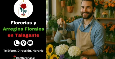 Florería en Talagante con despacho a domicilio. Un florista sonriente riega hortensias blancas y girasoles en una tienda llena de arreglos florales con colores vivos y plantas decorativas. Floristería en Talagante con atención cercana, flores naturales y servicio de envío a domicilio en toda la comuna.