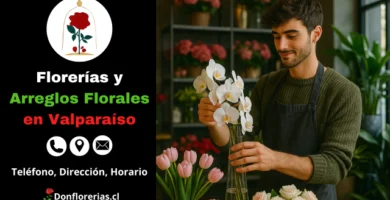 Florería en Valparaíso con despacho a domicilio. Un florista joven acomoda un ramo de orquídeas blancas en un florero de vidrio, rodeado de tulipanes rosados y flores frescas en una tienda elegante y luminosa. Floristería en Valparaíso con atención personalizada, arreglos florales finos y servicio de envío a domicilio.