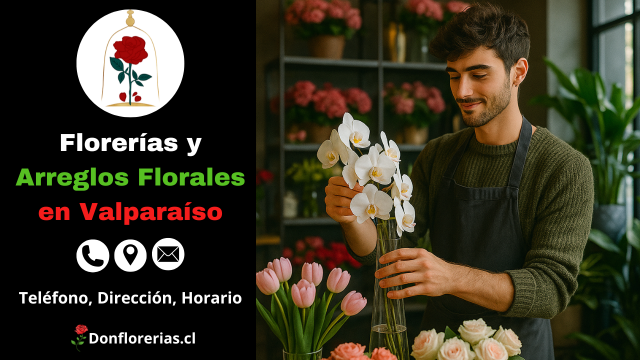 Florería en Valparaíso con despacho a domicilio. Un florista joven acomoda un ramo de orquídeas blancas en un florero de vidrio, rodeado de tulipanes rosados y flores frescas en una tienda elegante y luminosa. Floristería en Valparaíso con atención personalizada, arreglos florales finos y servicio de envío a domicilio.
